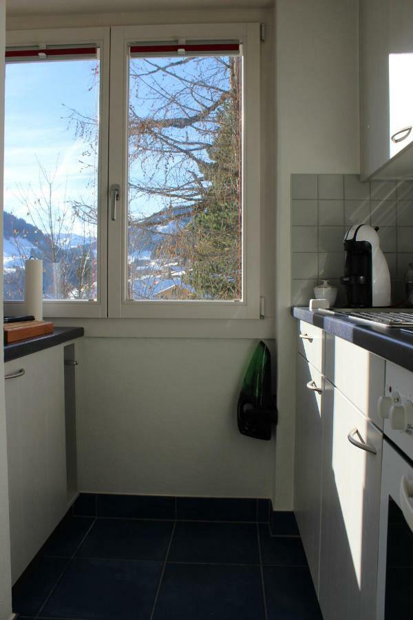 The Engstligen Apartment Adelboden Bagian luar foto