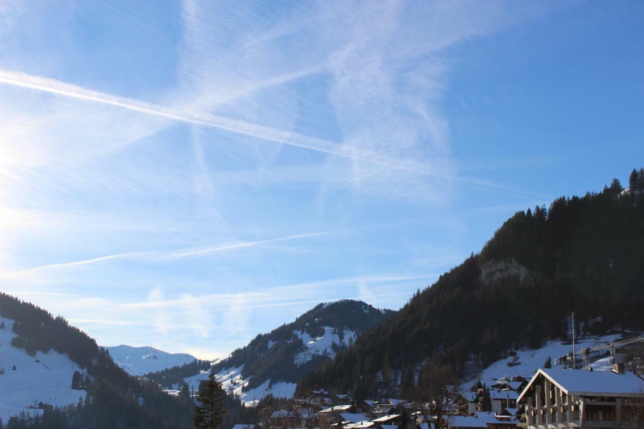 The Engstligen Apartment Adelboden Bagian luar foto
