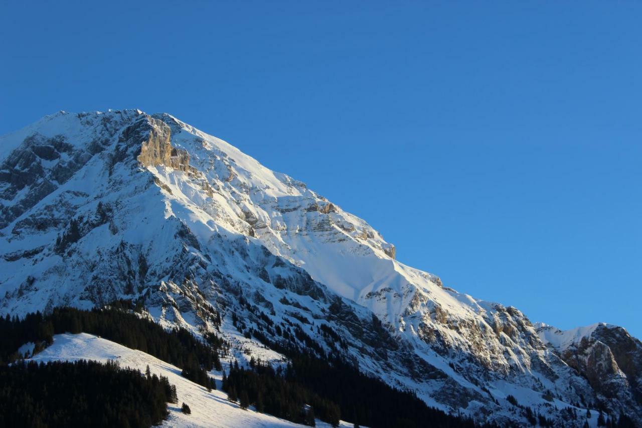 The Engstligen Apartment Adelboden Bagian luar foto