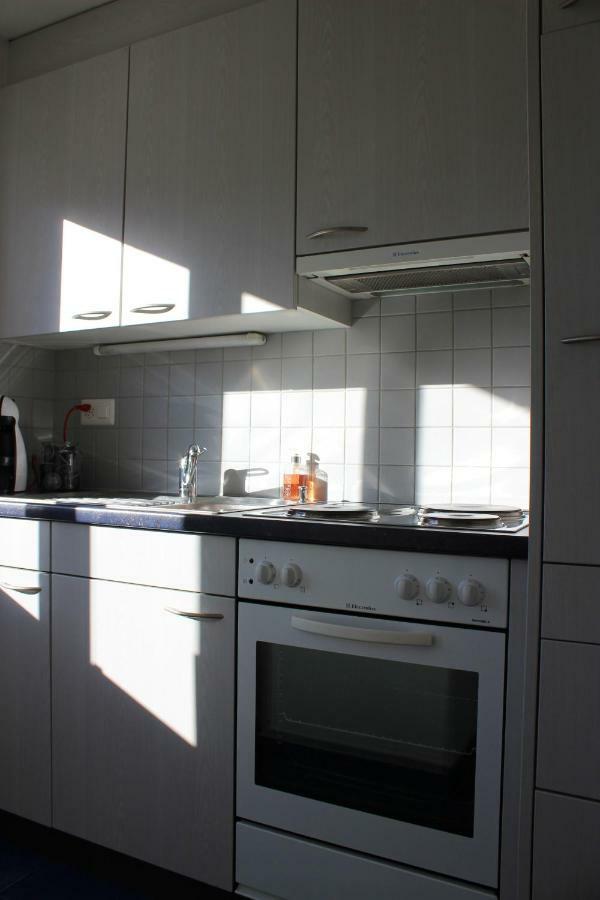 The Engstligen Apartment Adelboden Bagian luar foto