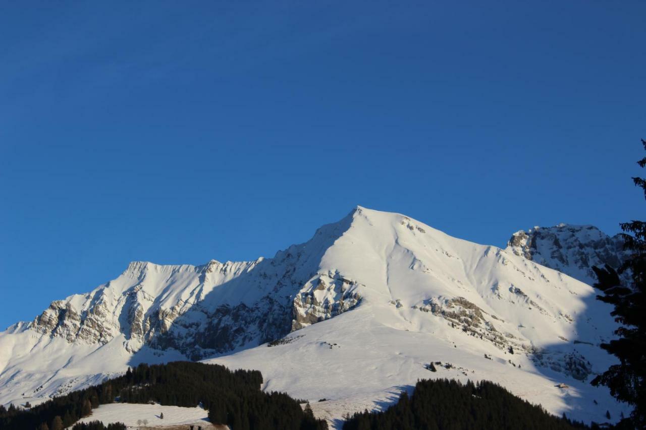 The Engstligen Apartment Adelboden Bagian luar foto