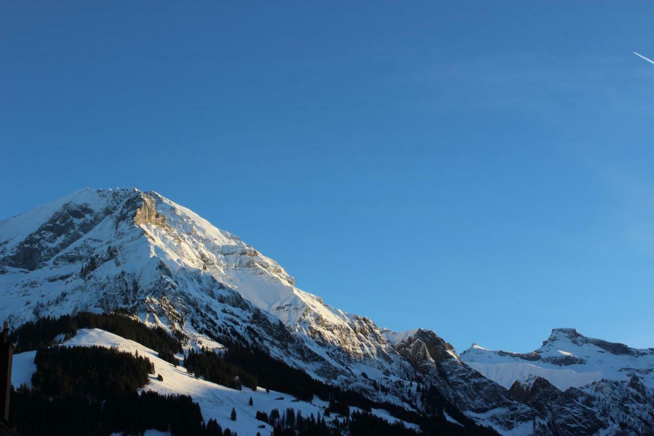 The Engstligen Apartment Adelboden Bagian luar foto